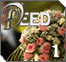 The Deed: Wedding