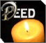 The Kaddish
