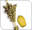 Sukkot & Simchat Torah