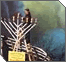 Menorahs Around the Globe